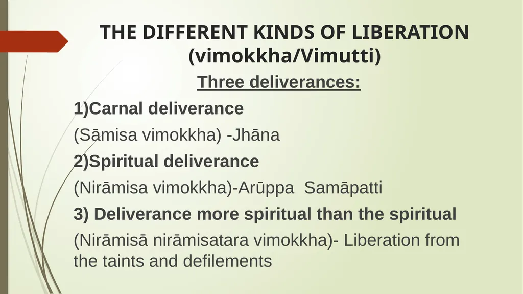 ?Liberation or rather Liberations Examining the - slide 7 of 16