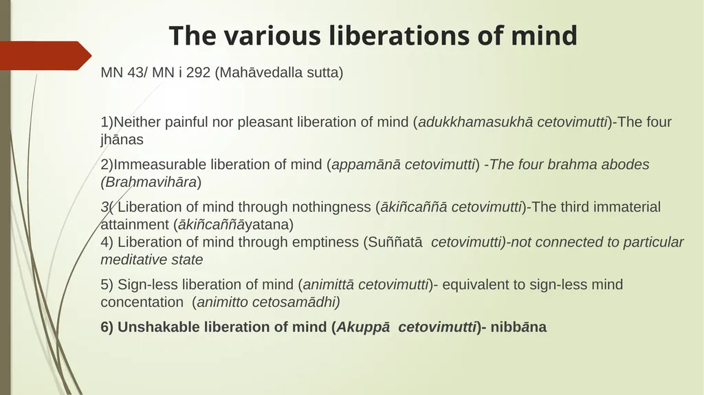 ?Liberation or rather Liberations Examining the - slide 10 of 16