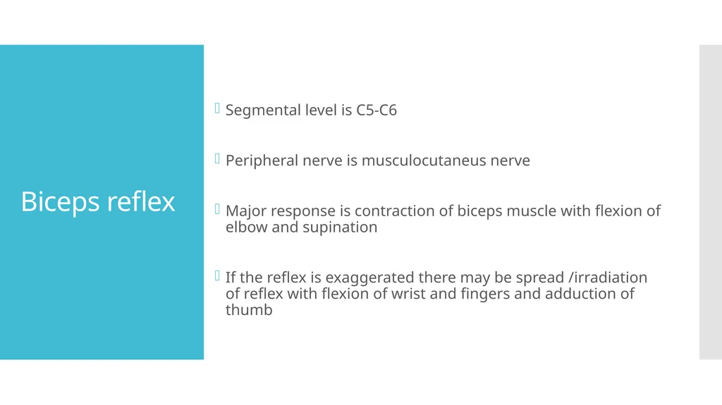 EXAMINATION OF UPPER LIMB DEEP TENDON REFLEXES Dr - slide 11 of 28