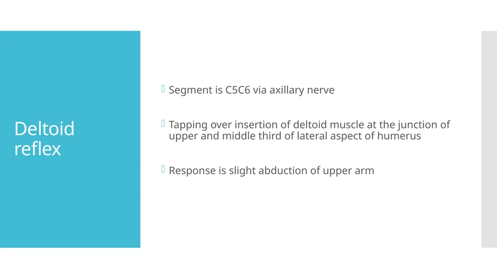 EXAMINATION OF UPPER LIMB DEEP TENDON REFLEXES Dr - slide 19 of 28