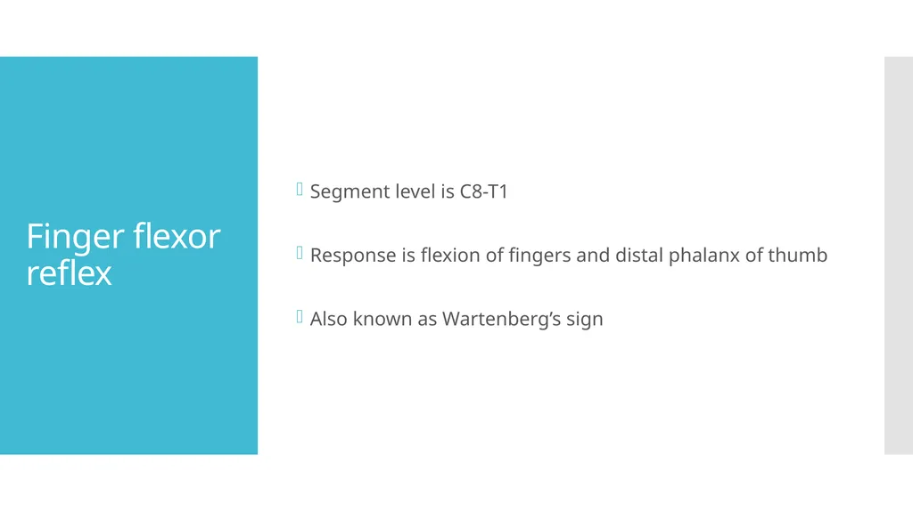 EXAMINATION OF UPPER LIMB DEEP TENDON REFLEXES Dr - slide 17 of 28