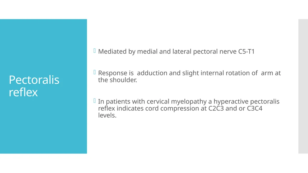 EXAMINATION OF UPPER LIMB DEEP TENDON REFLEXES Dr - slide 20 of 28