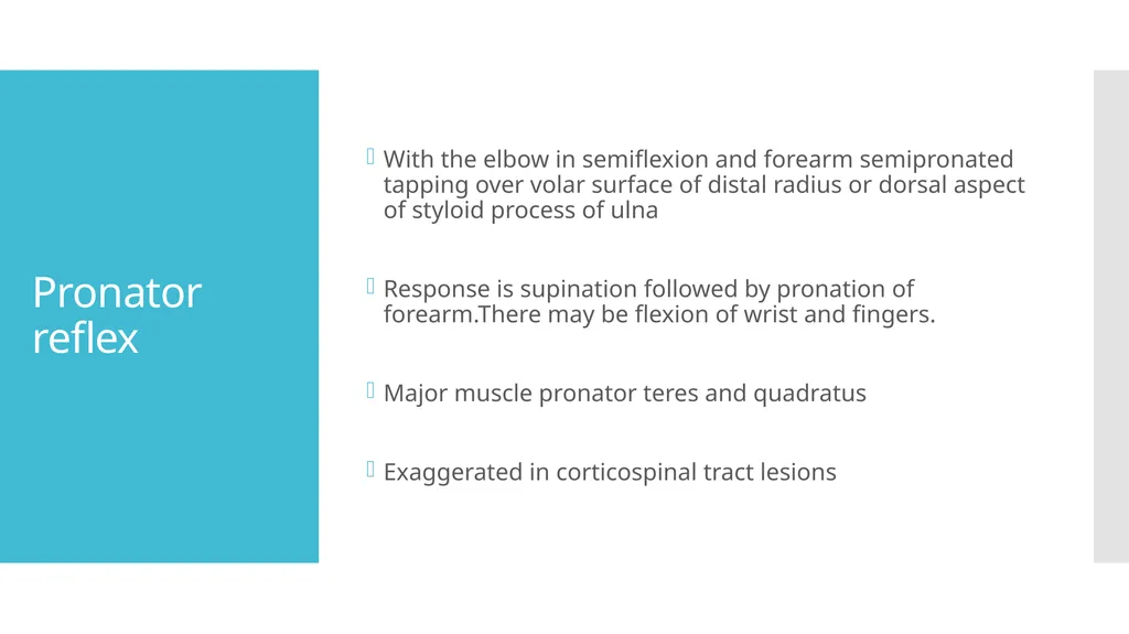 EXAMINATION OF UPPER LIMB DEEP TENDON REFLEXES Dr - slide 23 of 28
