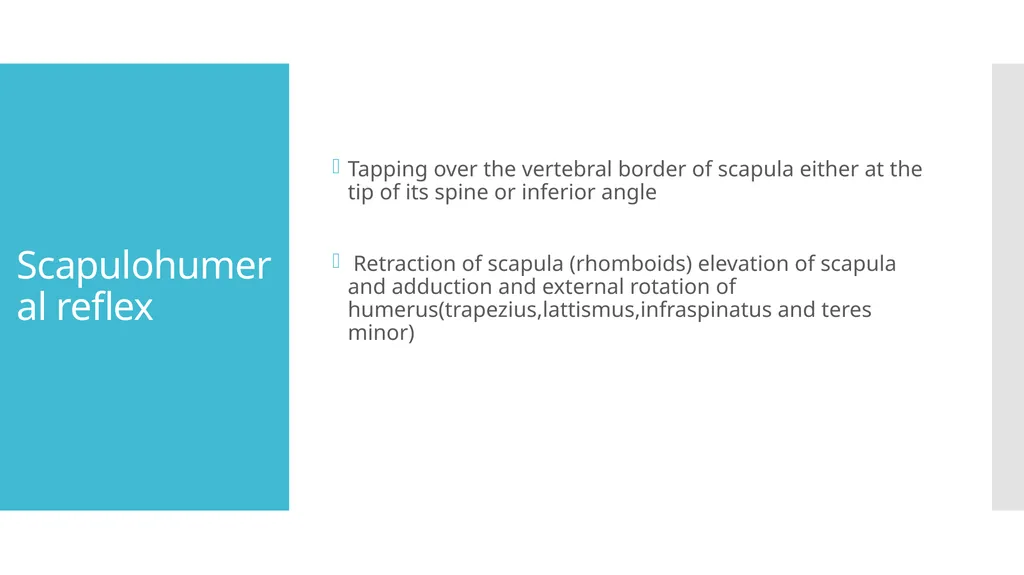 EXAMINATION OF UPPER LIMB DEEP TENDON REFLEXES Dr - slide 24 of 28