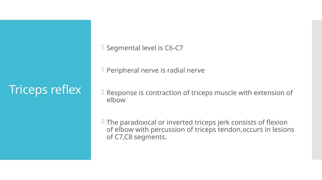 EXAMINATION OF UPPER LIMB DEEP TENDON REFLEXES Dr - slide 13 of 28