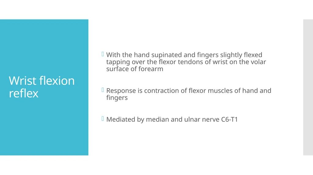 EXAMINATION OF UPPER LIMB DEEP TENDON REFLEXES Dr - slide 26 of 28