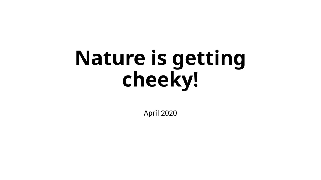 Nature is getting cheeky! April 2020 Nature is