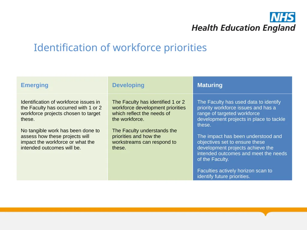 Allied Health Professions Faculty Maturity Matrix - slide 12 of 14