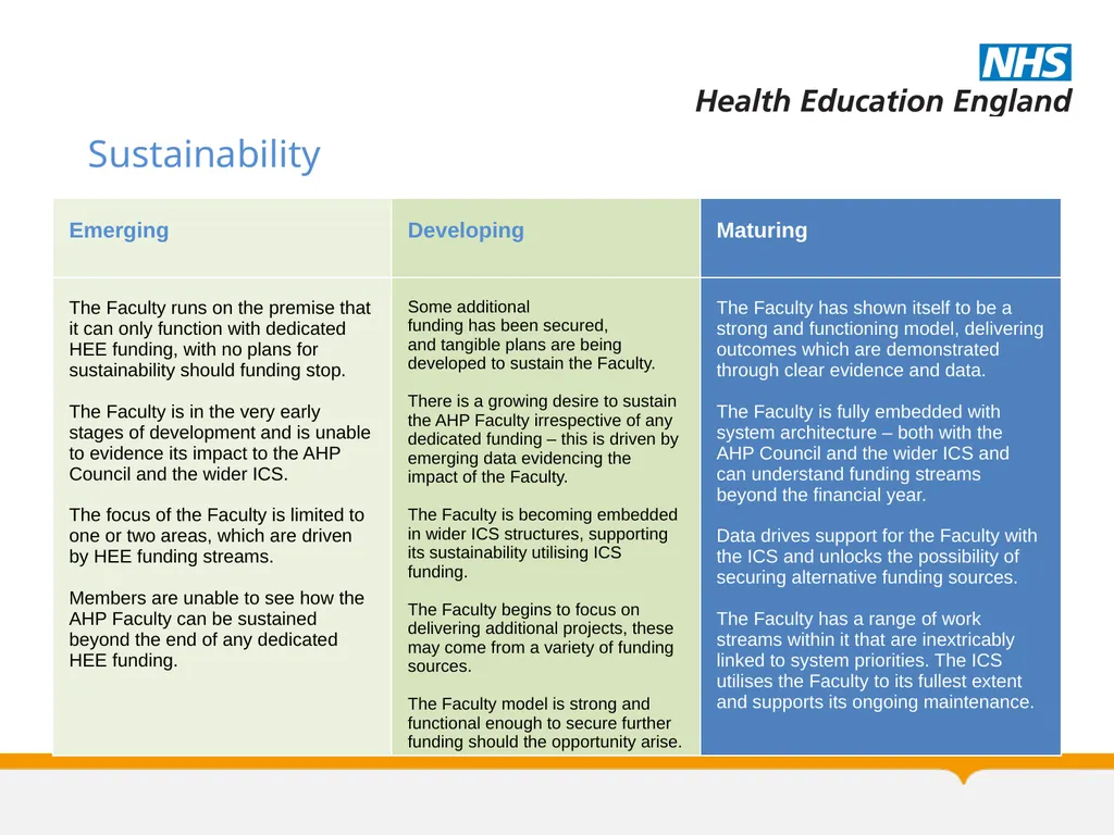 Allied Health Professions Faculty Maturity Matrix - slide 13 of 14