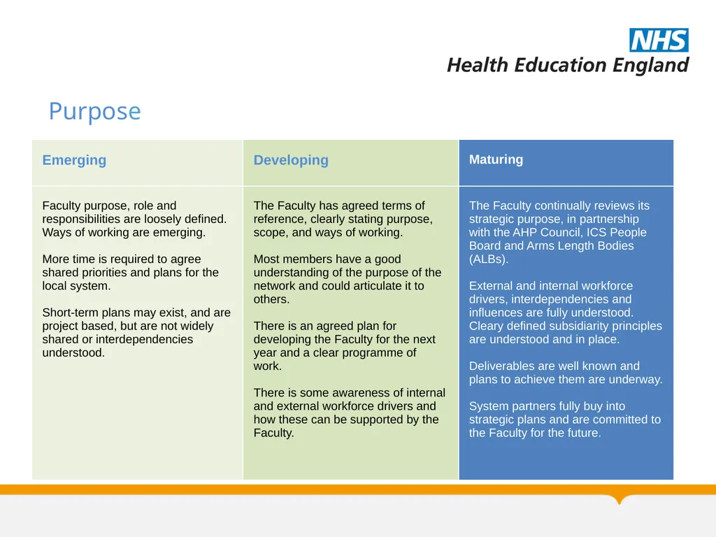 Allied Health Professions Faculty Maturity Matrix - slide 5 of 14