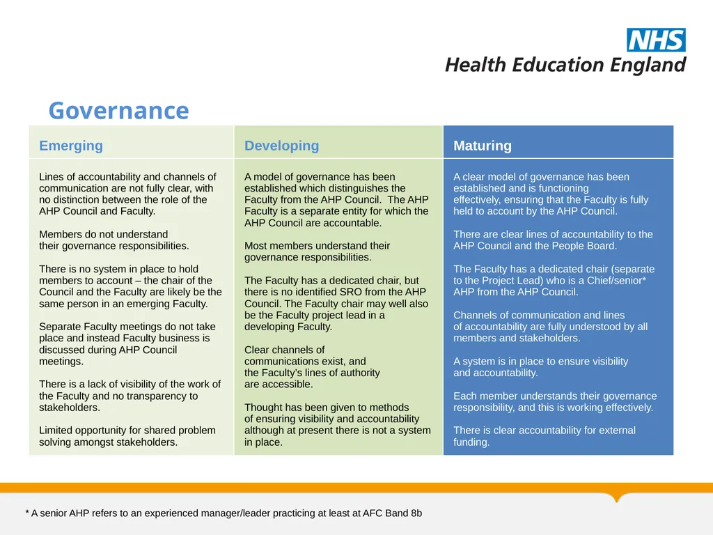 Allied Health Professions Faculty Maturity Matrix - slide 8 of 14