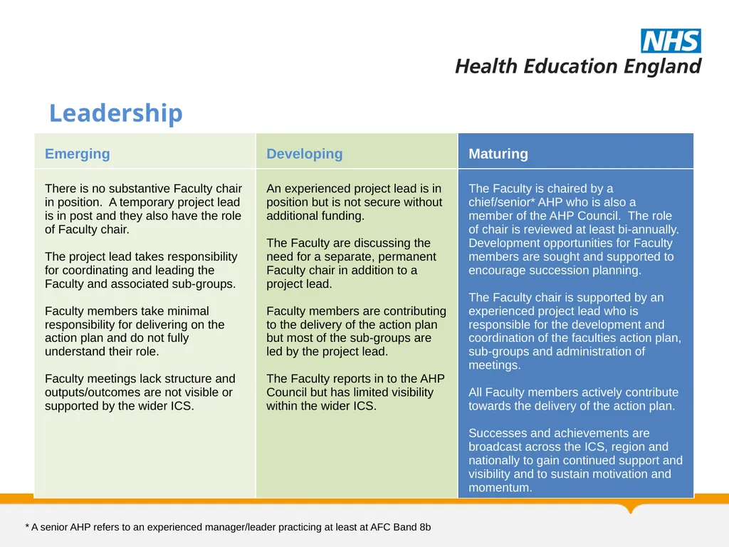 Allied Health Professions Faculty Maturity Matrix - slide 9 of 14