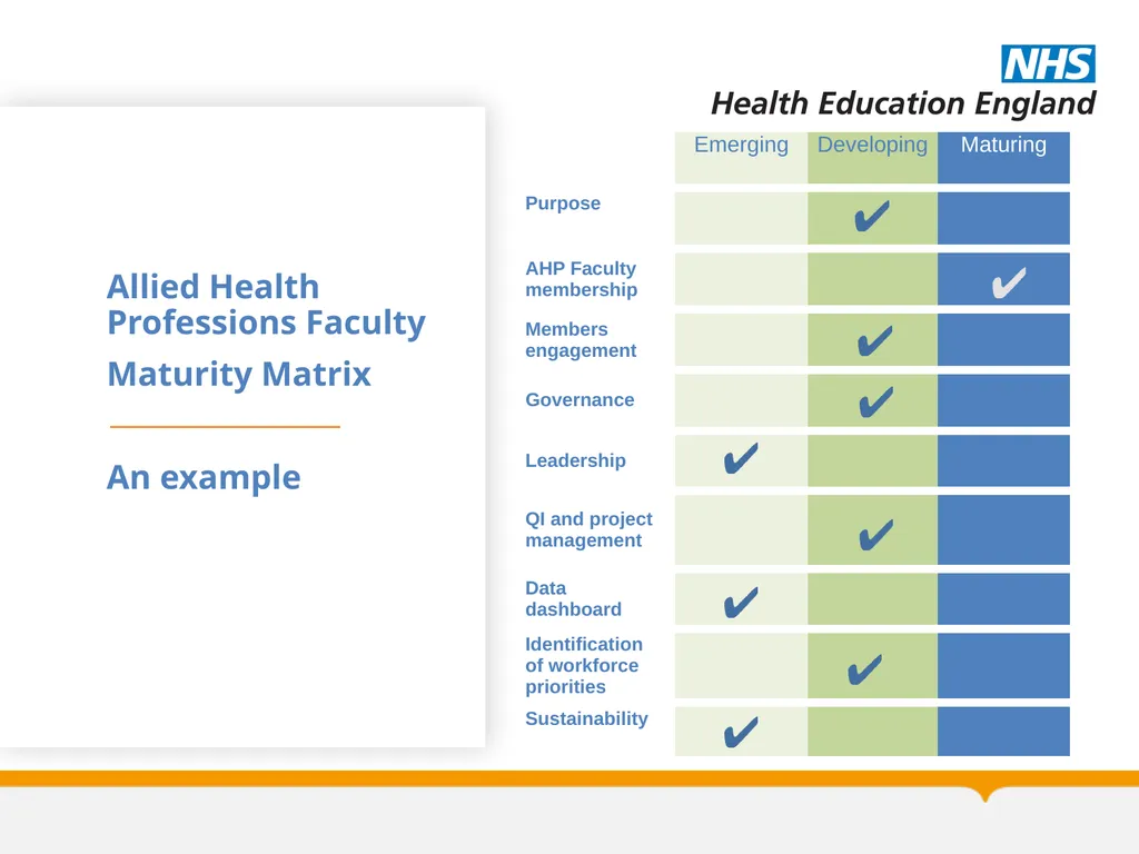 Allied Health Professions Faculty Maturity Matrix - slide 4 of 14