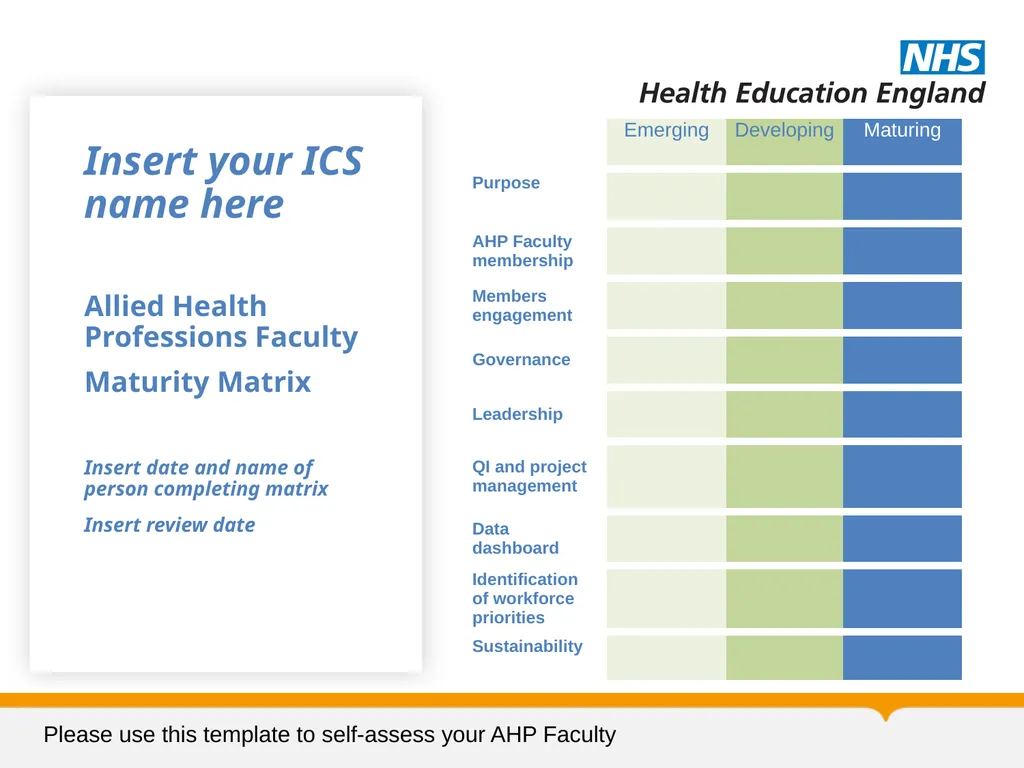 Allied Health Professions Faculty Maturity Matrix - slide 14 of 14