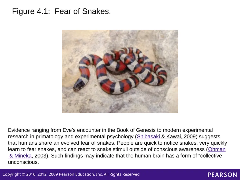 Personality Sixth edition Chapter 4 Neo-Analytic - slide 10 of 32