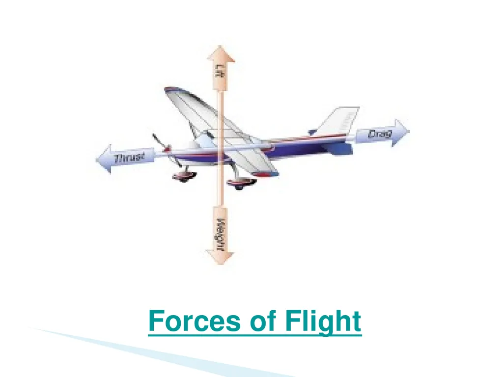 Utilizing your notes and past knowledge answer the - slide 36 of 61