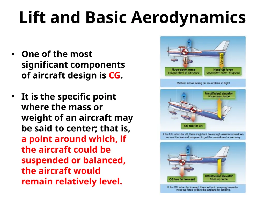 Utilizing your notes and past knowledge answer the - slide 48 of 61