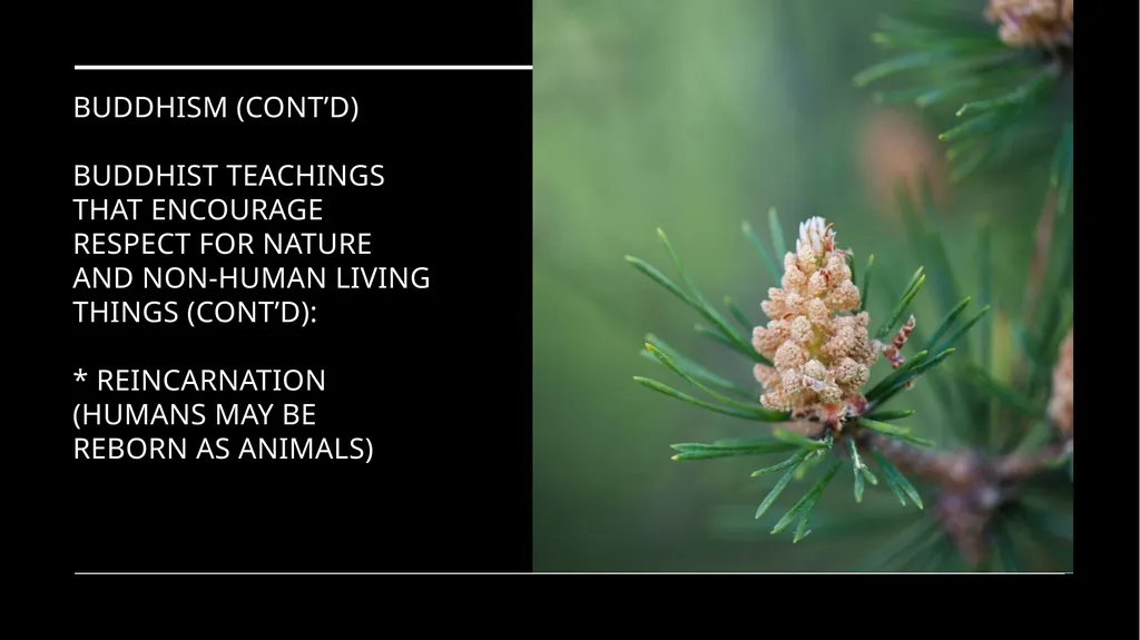 Chapter 2 Religion and the Environment Religion - slide 19 of 27