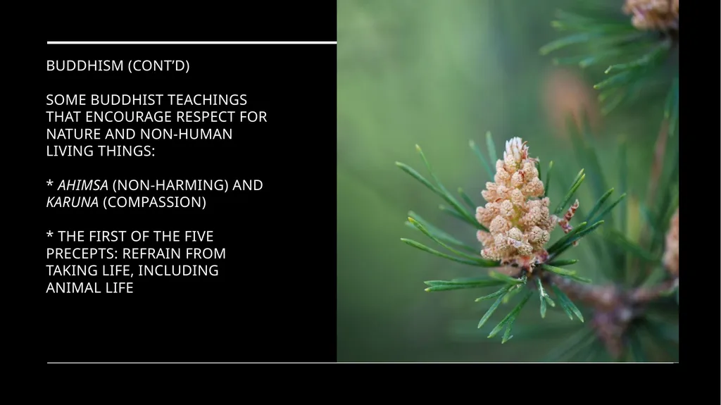 Chapter 2 Religion and the Environment Religion - slide 18 of 27