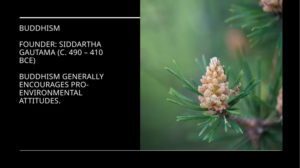 Chapter 2 Religion and the Environment Religion - slide 17 of 27