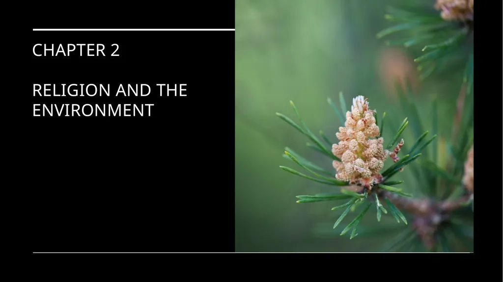Chapter 2 Religion and the Environment Religion - slide 1 of 27