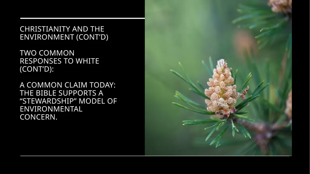 Chapter 2 Religion and the Environment Religion - slide 10 of 27