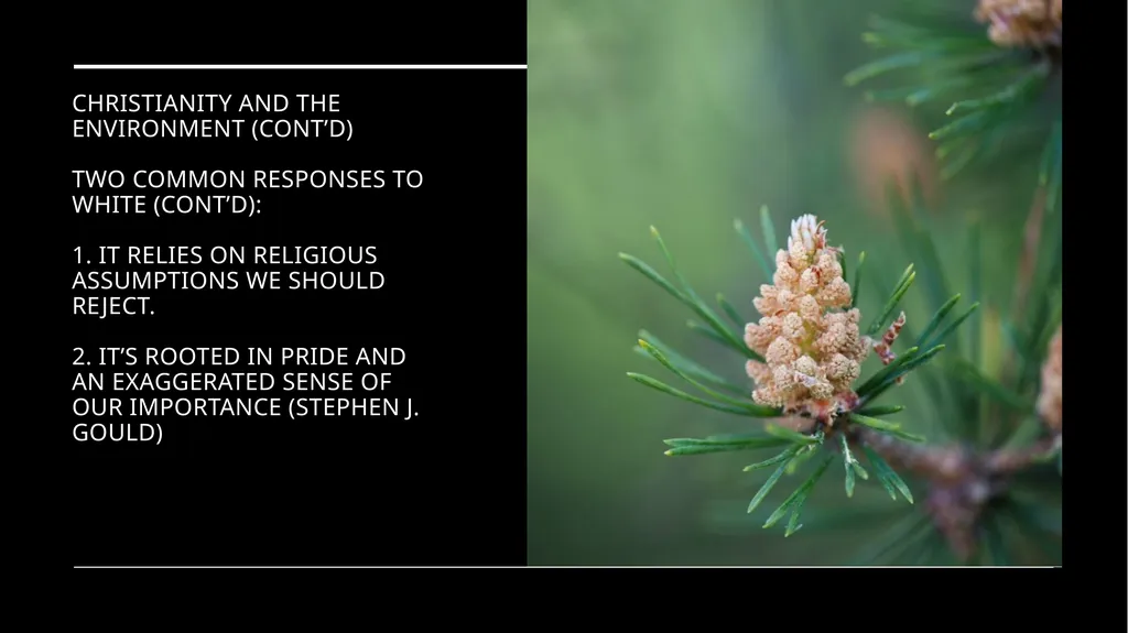 Chapter 2 Religion and the Environment Religion - slide 13 of 27