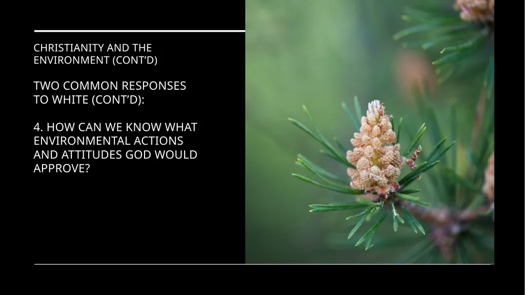 Chapter 2 Religion and the Environment Religion - slide 15 of 27
