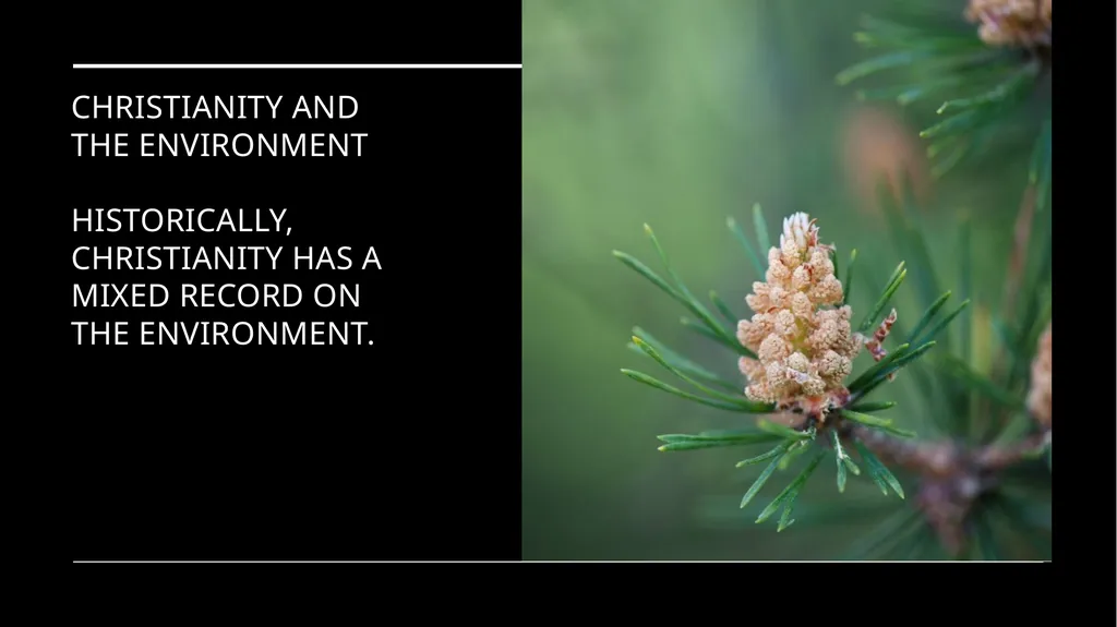 Chapter 2 Religion and the Environment Religion - slide 3 of 27