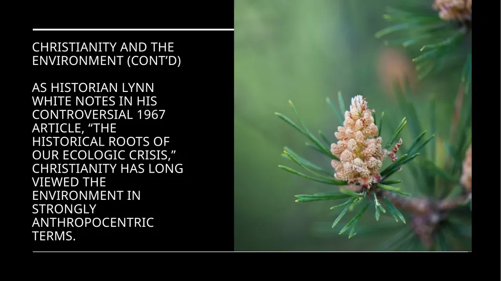 Chapter 2 Religion and the Environment Religion - slide 4 of 27