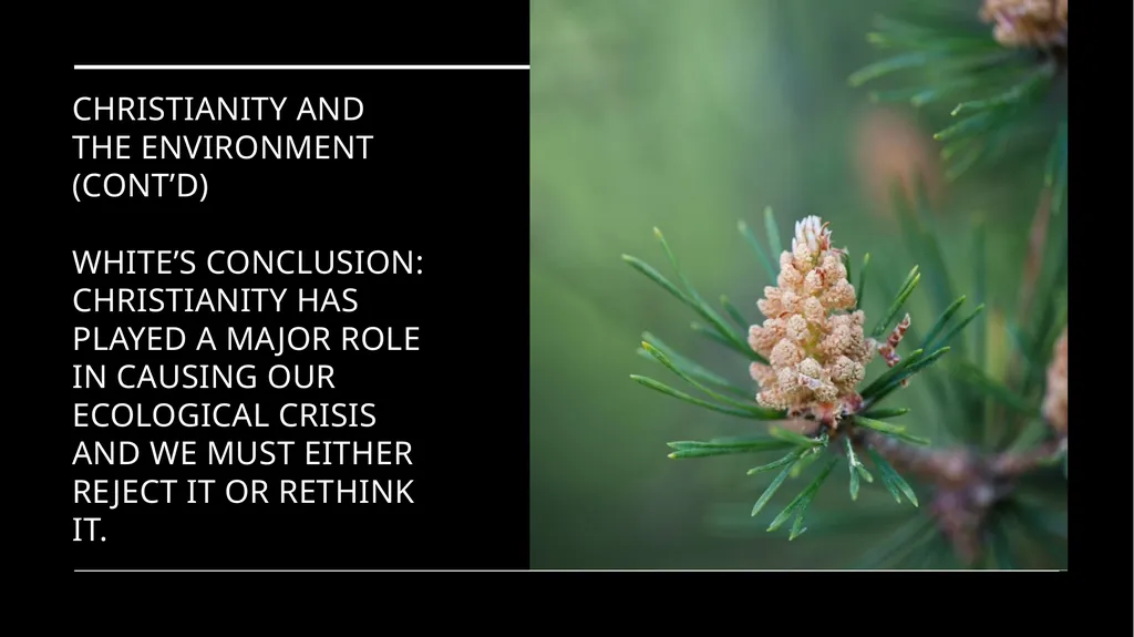 Chapter 2 Religion and the Environment Religion - slide 6 of 27