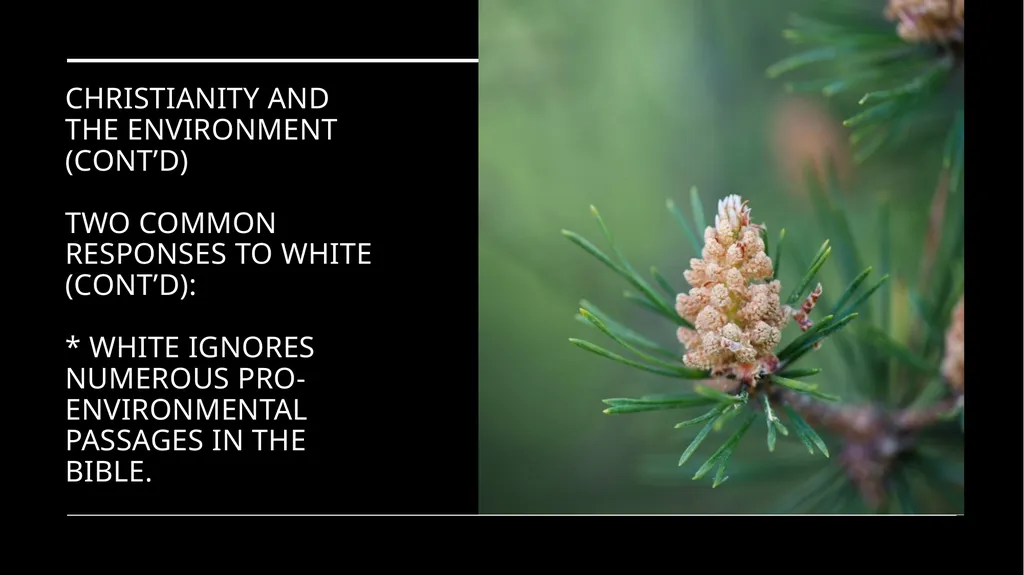 Chapter 2 Religion and the Environment Religion - slide 8 of 27