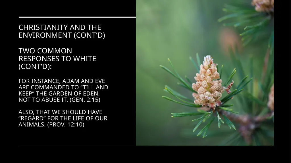 Chapter 2 Religion and the Environment Religion - slide 9 of 27