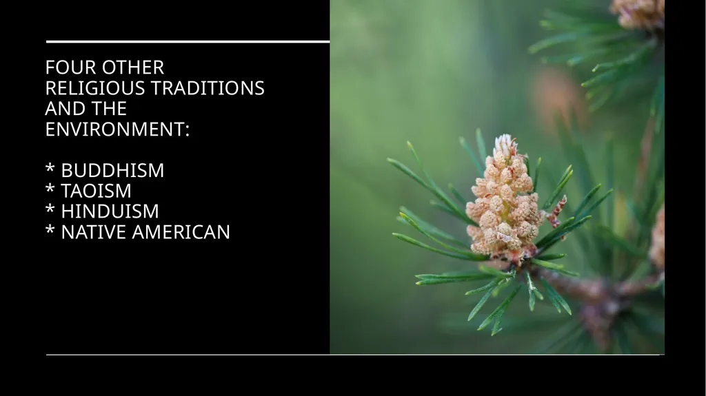 Chapter 2 Religion and the Environment Religion - slide 16 of 27