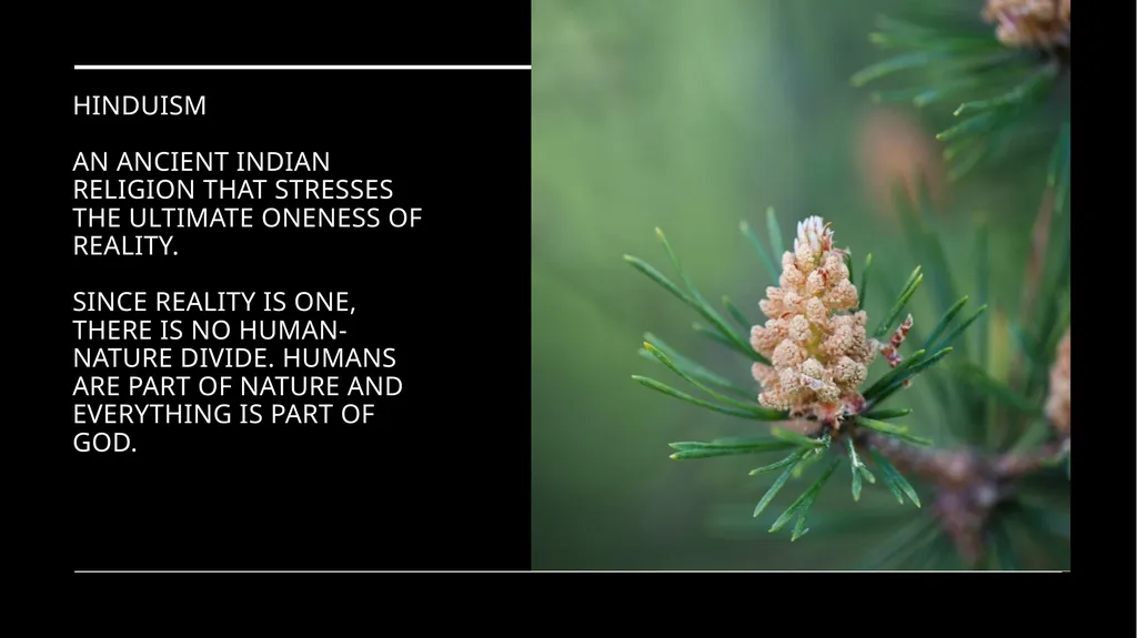 Chapter 2 Religion and the Environment Religion - slide 24 of 27
