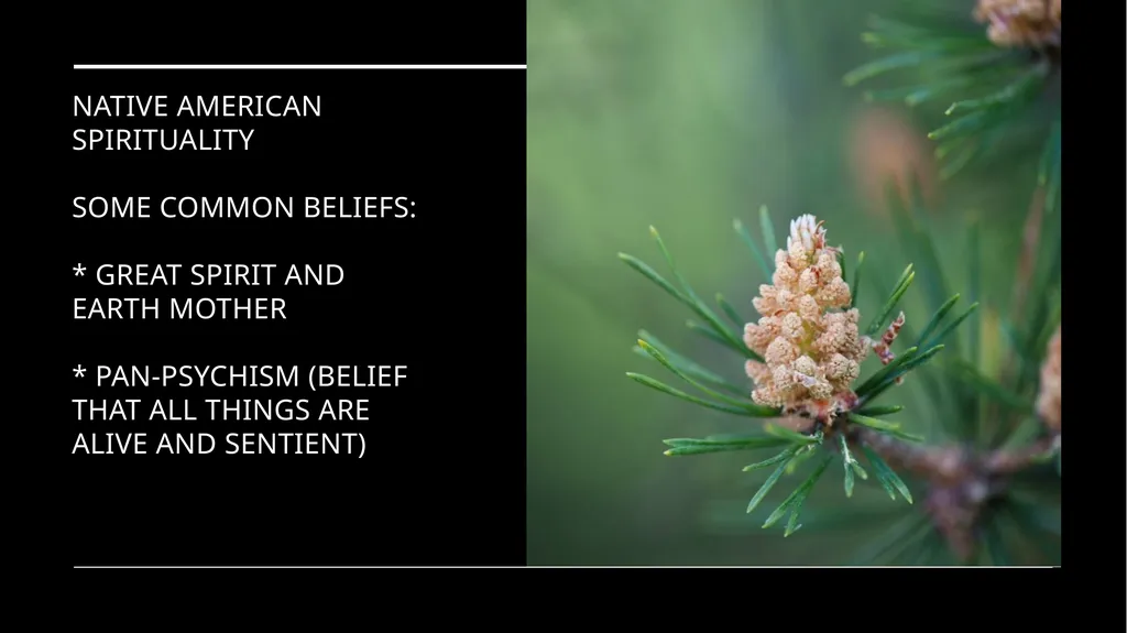 Chapter 2 Religion and the Environment Religion - slide 26 of 27