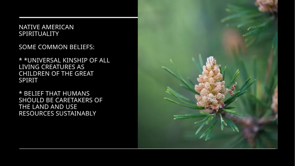 Chapter 2 Religion and the Environment Religion - slide 27 of 27