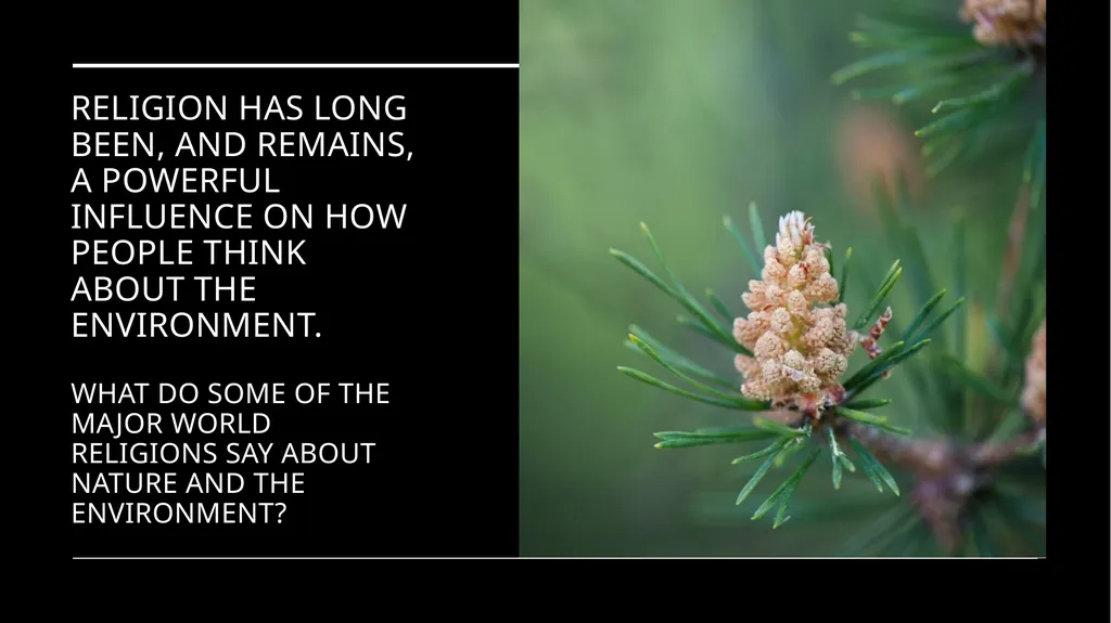 Chapter 2 Religion and the Environment Religion - slide 2 of 27