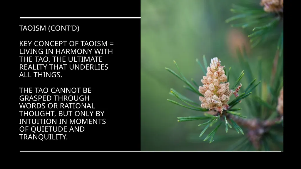 Chapter 2 Religion and the Environment Religion - slide 21 of 27