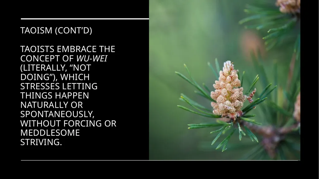 Chapter 2 Religion and the Environment Religion - slide 23 of 27