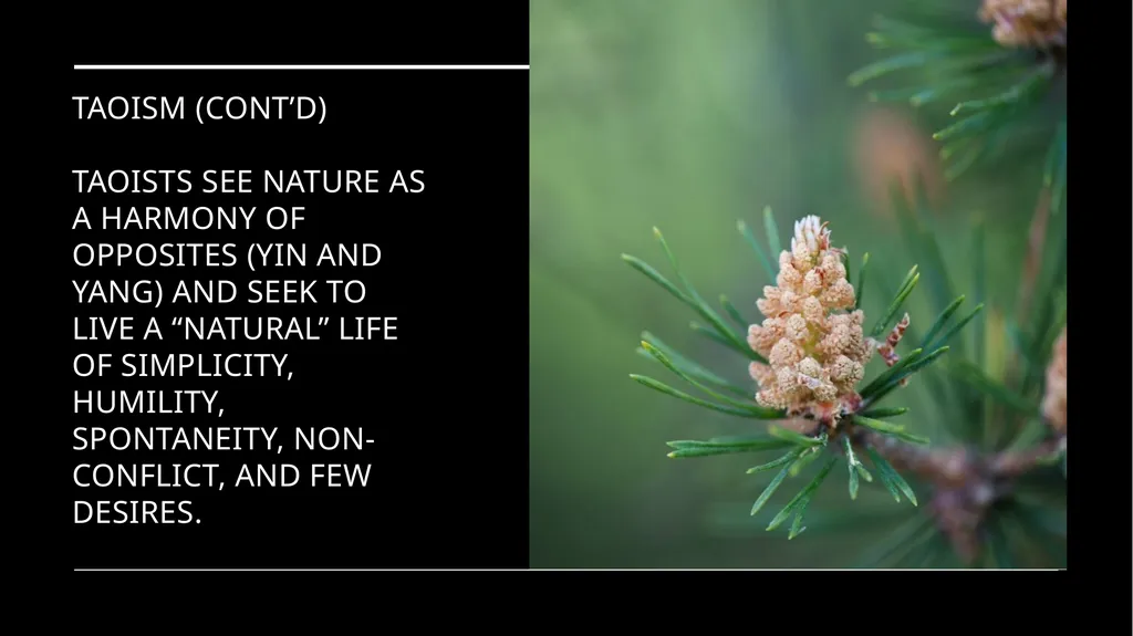 Chapter 2 Religion and the Environment Religion - slide 22 of 27