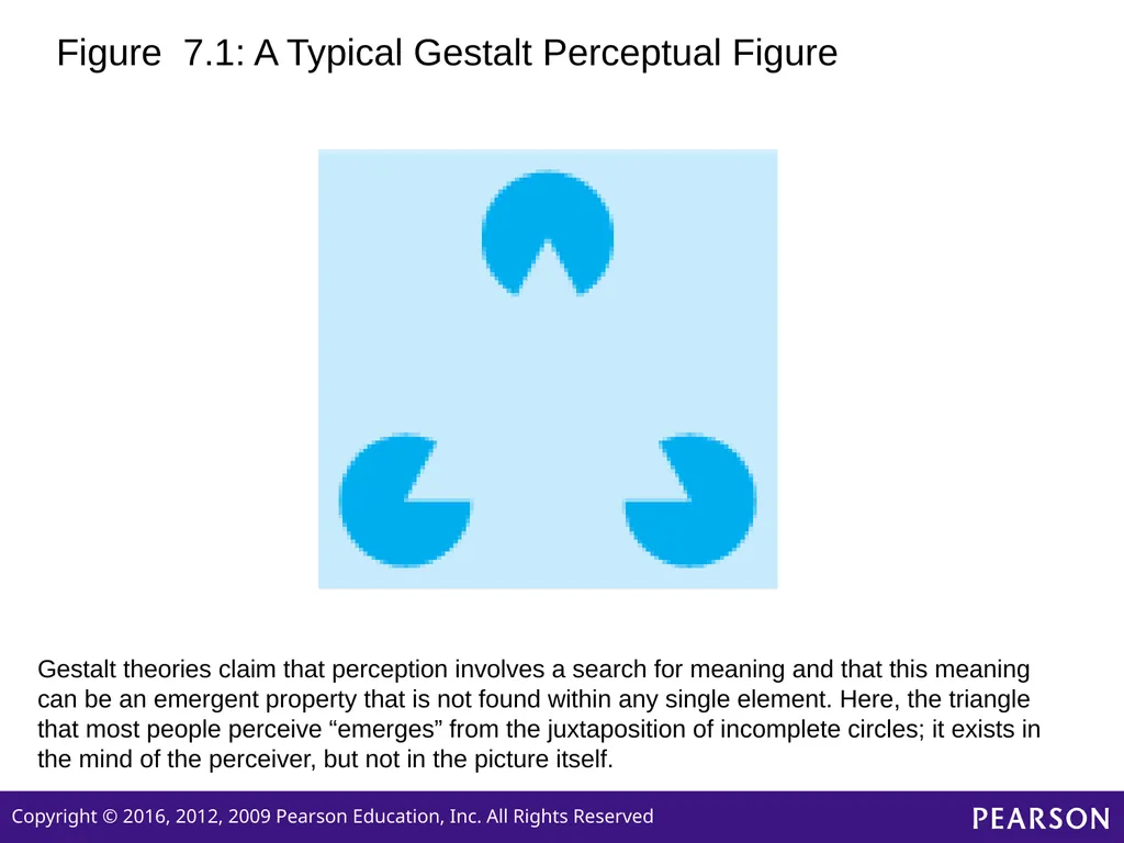 Personality Sixth edition Chapter 7 Cognitive and - slide 9 of 35