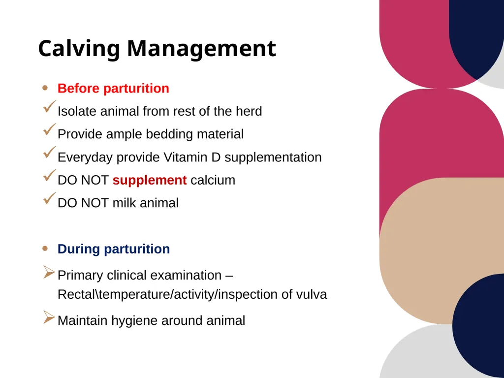 Care and management of pregnant animals Dr Alok - slide 16 of 19