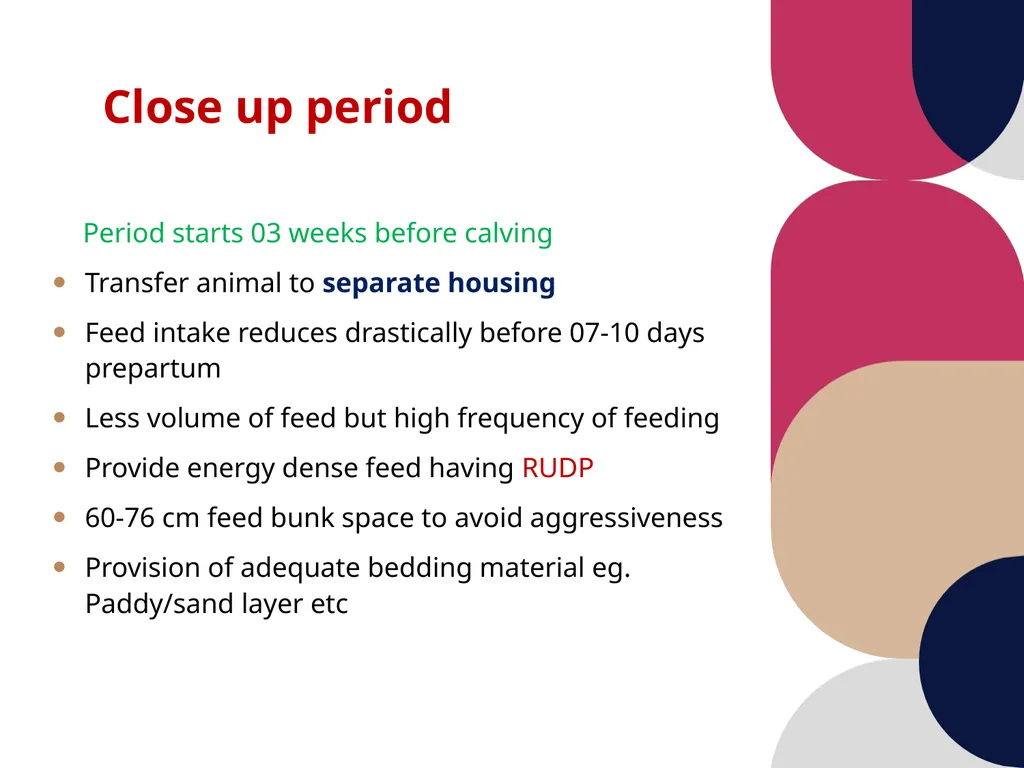 Care and management of pregnant animals Dr Alok - slide 14 of 19
