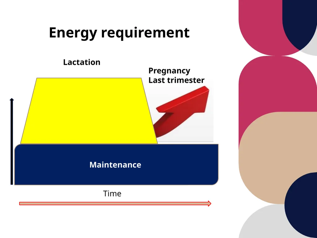 Care and management of pregnant animals Dr Alok - slide 9 of 19
