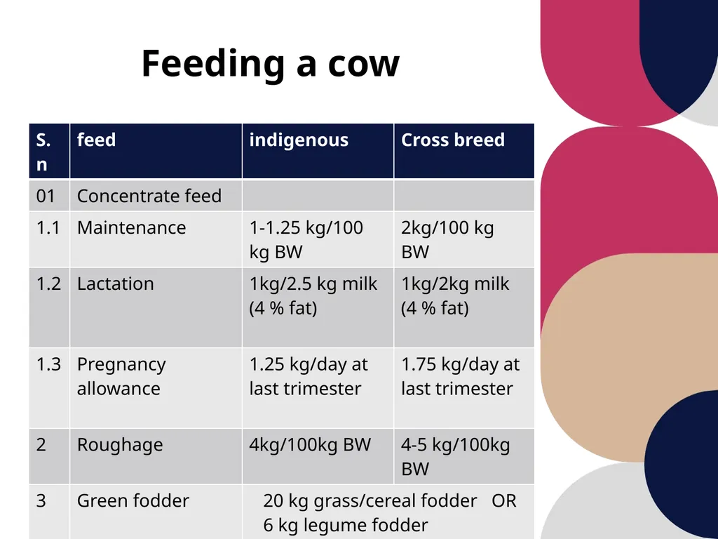 Care and management of pregnant animals Dr Alok - slide 7 of 19