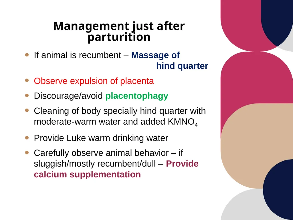 Care and management of pregnant animals Dr Alok - slide 17 of 19