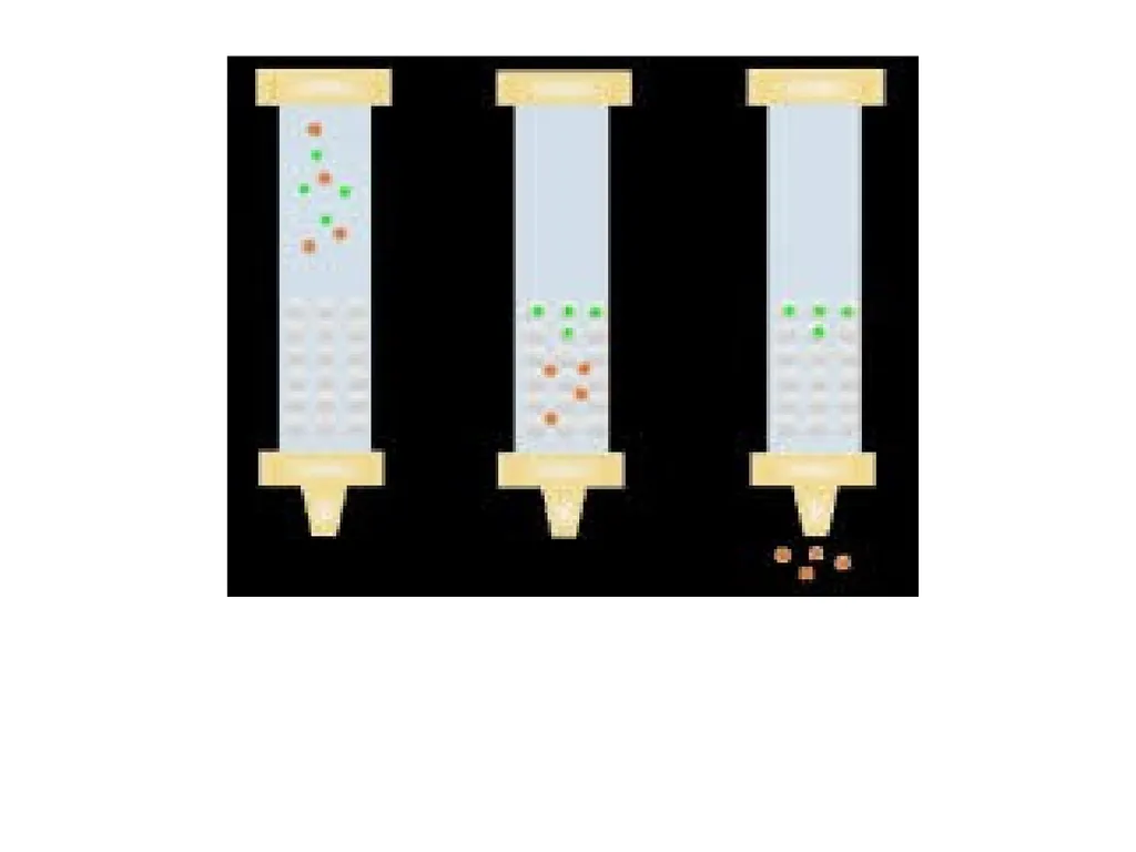 Classification of proteins I- Simple proteins: - slide 14 of 15