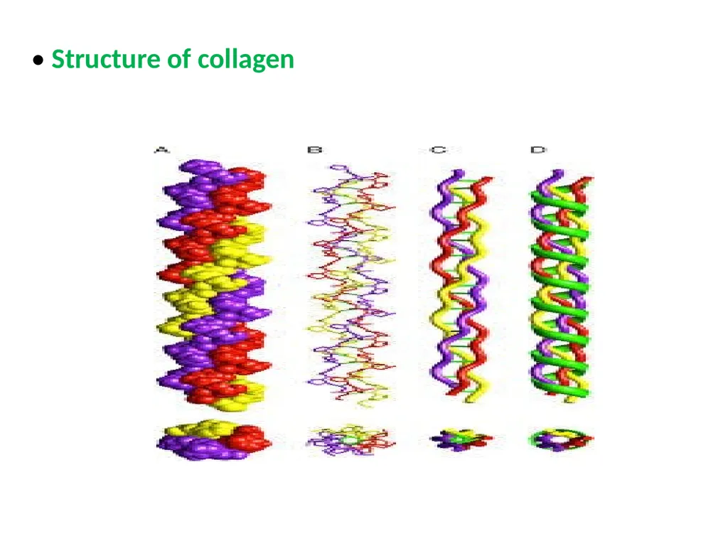 Classification of proteins I- Simple proteins: - slide 7 of 15