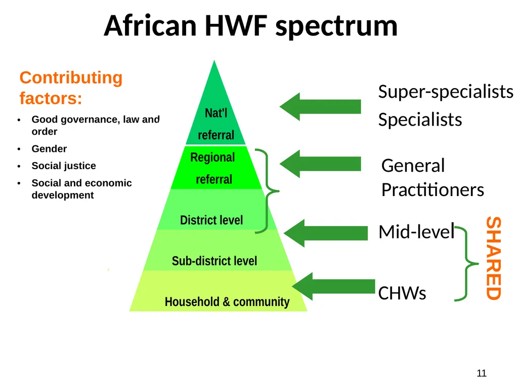 Reforming the Health Work Force to support - slide 11 of 24